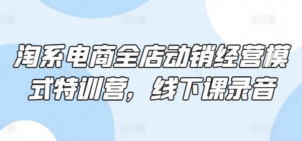 淘系电商全店动销经营模式特训营课程详解-无双副业