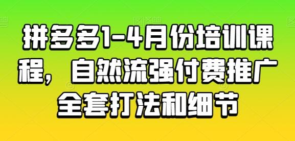 拼多多自然流与付费推广全攻略及实战技巧-无双副业