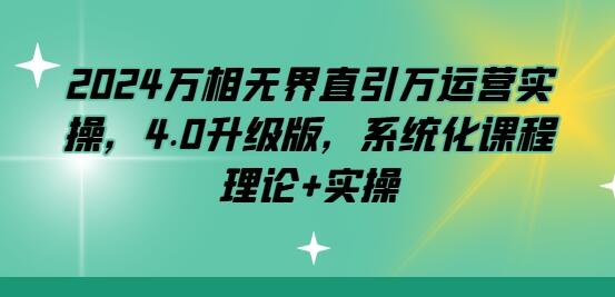 2024万相无界直引万运营实操4.0升级版系统化课程-无双副业