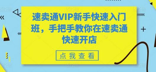 速卖通开店全攻略：从入门到精通-无双副业