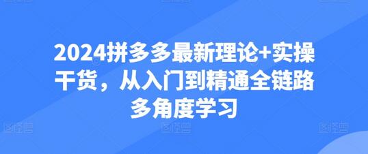 2024拼多多全链路学习：从入门到精通的理论与实操-无双副业