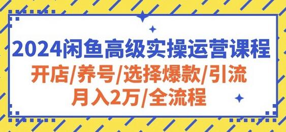 2024闲鱼高级运营全流程：开店养号到月入2万-无双副业