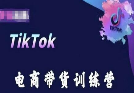 TikTok电商带货实战训练，掌握跨境掘金技巧-无双副业