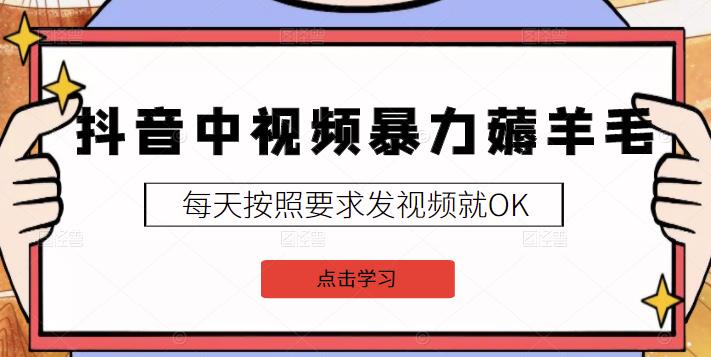 抖音中视频项目：新号日赚20元，老号几天收益数百元-无双副业