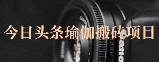 今日头条瑜伽搬砖项目，单号日赚几十元，支持批量操作-无双副业