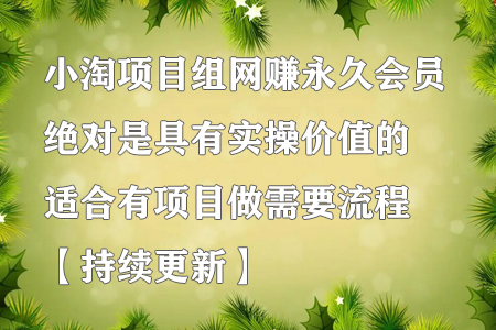 小淘项目组网赚永久会员，实操价值高，适合项目流程需求-无双副业