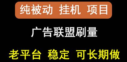 oneptp出海广告联盟挂机项目，稳定躺赚，多台批量操作-无双副业