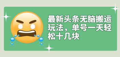 最新头条搬运玩法，单号日赚十几块【视频教程+软件】-无双副业