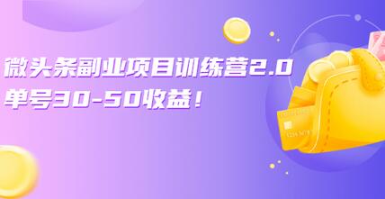 微头条副业项目训练营：单号30-50收益，轻松上手！-无双副业