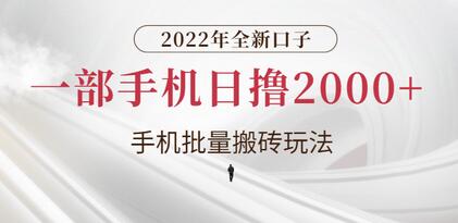 2022年手机批量搬砖玩法，日赚2000+实操指南-无双副业
