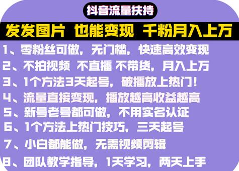 抖音发图就能赚钱：千粉月入上万实操文档，全是干货（价值1299元）