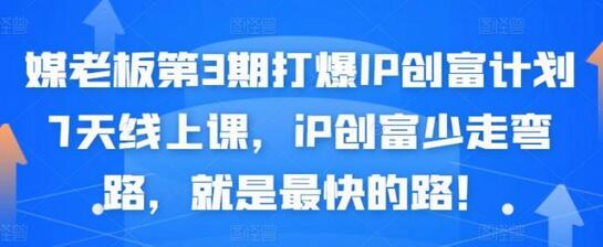 媒老板打爆IP创富计划7天线上课，快速创富不走弯路-无双副业