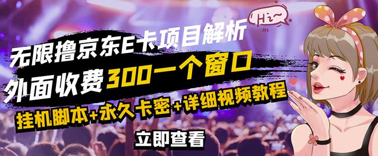 京东无限E卡全自动挂机项目，日入500–1000详细教程-无双副业
