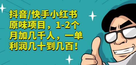 抖音快手小红书原味项目，快速增粉变现高利润-无双副业
