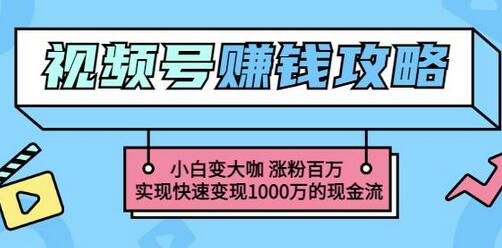 玩转微信视频号：小白变百万粉丝大咖，快速变现1000万-无双副业