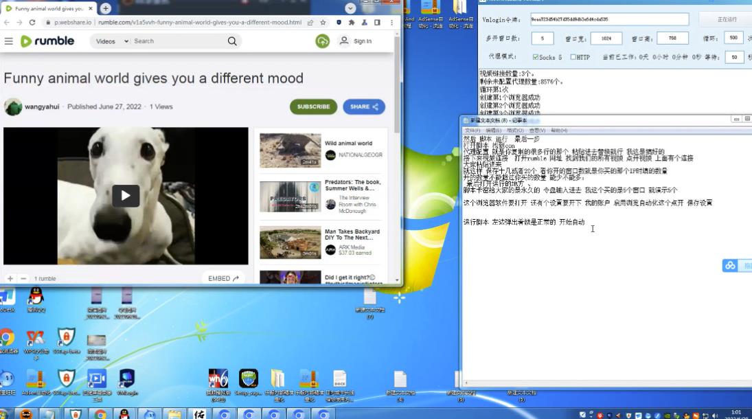 Rumble全自动挂机撸美金项目，单窗口日赚5美金+永久脚本教程