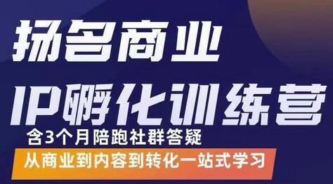 杨名商业IP孵化训练营：从商业到内容到转化一站式学习-无双副业