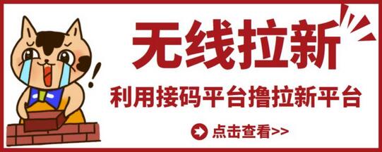 接码平台拉新项目，轻松日赚500+的赚钱方法-无双副业