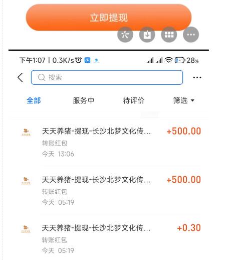 天天养猪全自动挂机项目，单号日赚500+