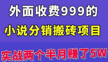 小说分销搬砖项目：实战两月赚5万，操作简单易上手-无双副业