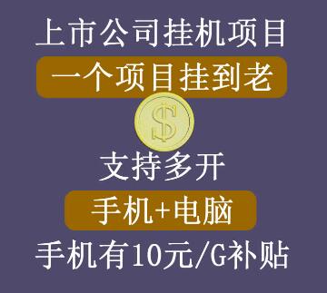 睿思挂机项目：手机电脑双挂，虚拟机多开，流量补贴丰厚-无双副业