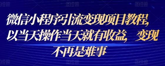 微信小程序引流变现项目教程，当天操作当天收益-无双副业