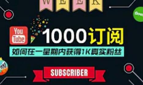 油管涨粉教程：一星期内快速获得1000真实粉丝的免费方法-无双副业