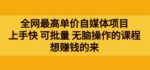 全网最高单价自媒体项目：快速上手批量操作赚钱课程-无双副业