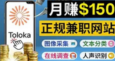正规网络兼职平台Toloka，利用业余时间月赚150美元-无双副业