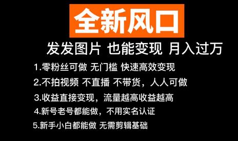 抖音头像号变现零基础教程，轻松月入过万-无双副业