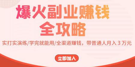 爆火副业赚钱全攻略：实操演练，全渠道变现，月入3万-无双副业