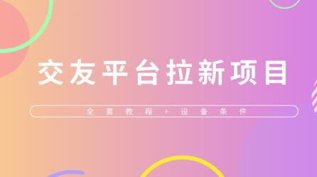 交友平台接码拉新项目，单日收益200+-无双副业