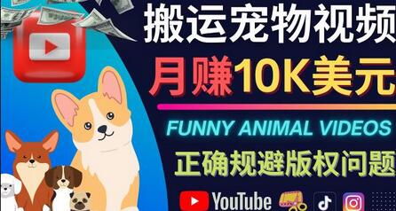 搬运TIKTOK视频到YouTube二次创作月赚1万美元以上-无双副业