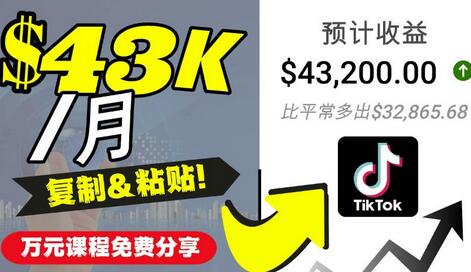 2022抖音国际版Tiktok赚钱项目：轻松月入$43200-无双副业