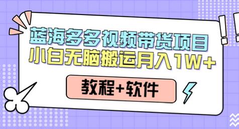 多多视频带货项目：0成本日入过万，轻松实现躺赚（教程+软件）-无双副业