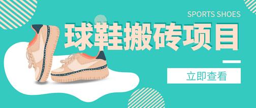球鞋搬砖项目教程，月入5000+的轻松赚钱方法-无双副业
