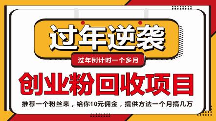 抖音快手创业粉回收项目，每个粉丝赚10元-无双副业