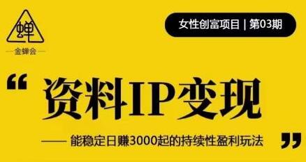 资料IP变现：日赚3000的持续性盈利玩法揭秘-无双副业