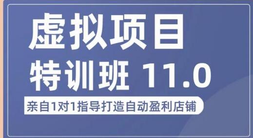 陆明明虚拟项目特训班：0成本打造自动盈利店铺-无双副业
