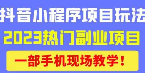 抖音小程序9.0新技巧，2023热门副业项目轻松变现-无双副业