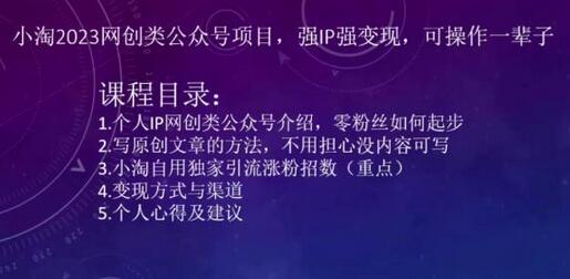 小淘2023网创类公众号项目：强IP与变现策略-无双副业