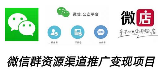 微信群码资源渠道推广变现项目，多种方式打通收益管道-无双副业