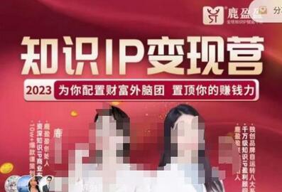 鹿盈盈知识IP变现实操营：普通人复制的知识产品落地课-无双副业