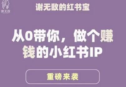 小红书运营全攻略：从0打造赚钱IP-无双副业