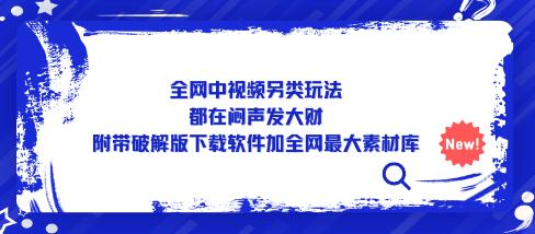 全网中视频另类玩法，附带下载软件与素材库-无双副业