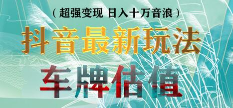抖音无人直播车牌估值项目，轻松日赚几百元详细教程-无双副业