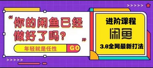 咸鱼玩法进阶课程：单号日入1K的实战技巧-无双副业