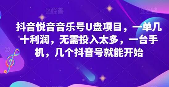 抖音音乐号U盘项目，低成本高利润，轻松上手-无双副业