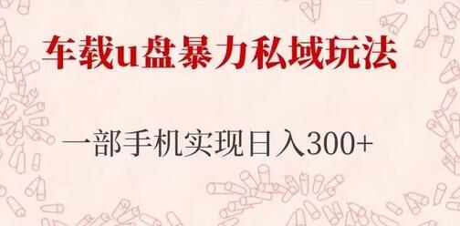 车载U盘私域玩法，手机操作日入300+长期项目-无双副业