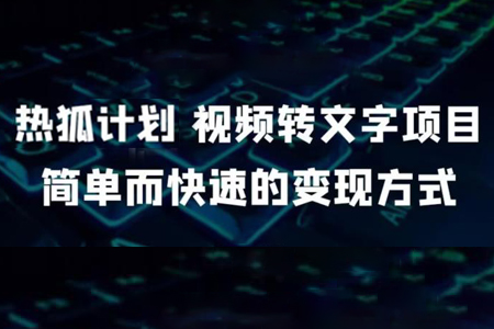 视频转文字项目：快速变现的简单方法-无双副业